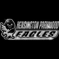 GLT102 SILVER GLITTER Thumbnail